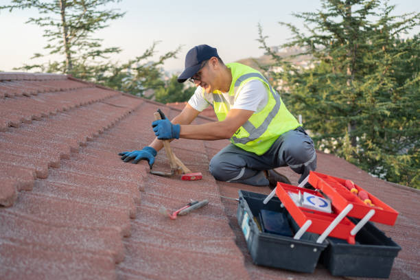 Best Storm Damage Roof Repair  in Gordo, AL